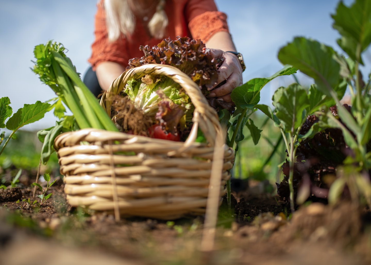 What Is Food Supply Chain Management? 3 Trends for 2022